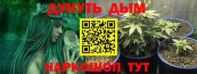 ГАЛЛЮЦИНОГЕННЫЕ ГРИБЫ Абакан