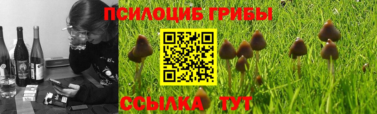Псилоцибиновые грибы Cubensis Ангарск