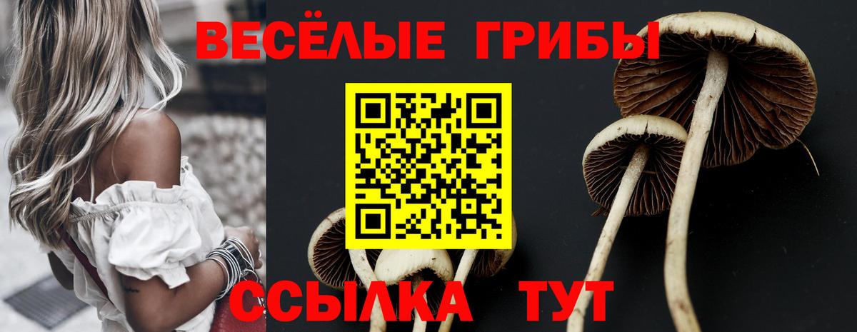 Псилоцибиновые грибы GOLDEN TEACHER  магазин продажи наркотиков  Вход с VPN  Ангарск  Галлюциногенные грибы MAGIC MUSHROOMS 